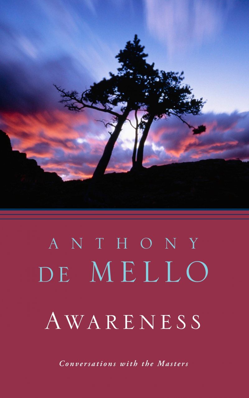 Awareness: The Perils and Opportunities of Reality